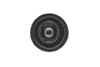 Bilstein B1 Front Top Mount Mounting