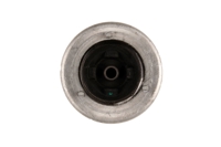 Bilstein B1 Front Top Mount Mounting