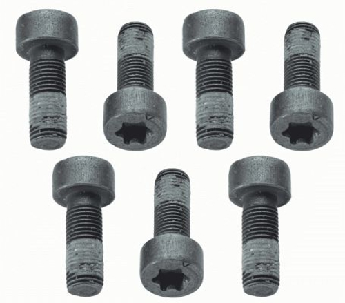 SACHS Screw Set, flywheel - 1874 000 040