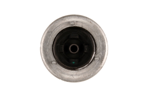 Bilstein B1 Front Top Mount Mounting