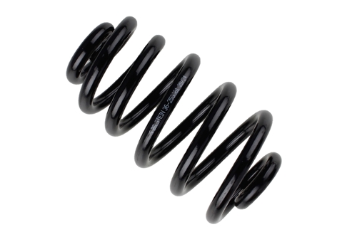 Bilstein B3 Rear Coil Spring