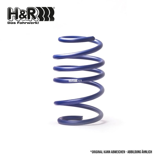 H+R Replacement Rear Spring
