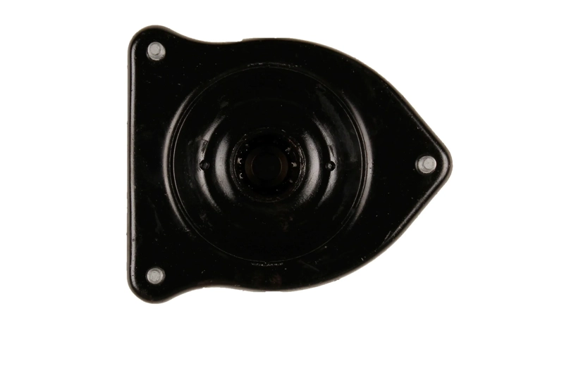 Bilstein B1 Front Top Mount Mounting