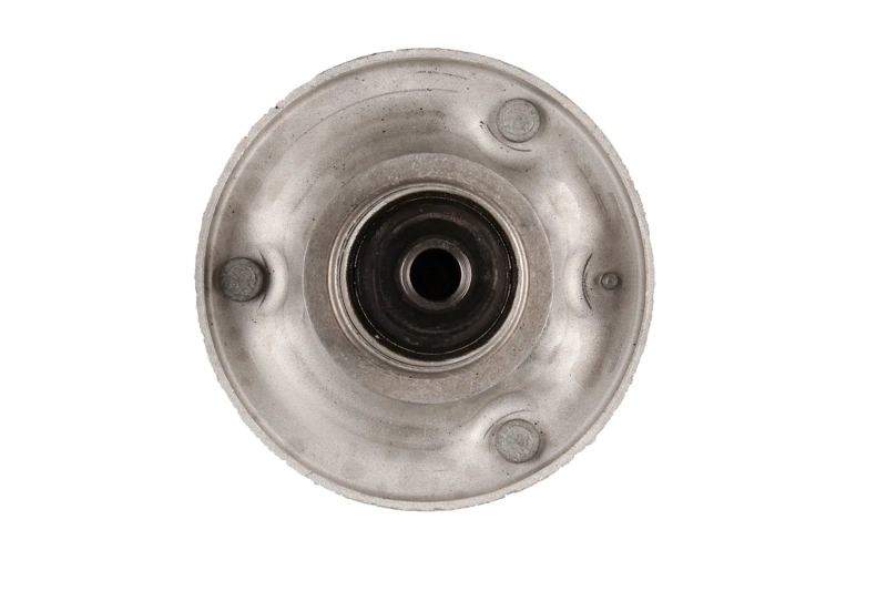 Bilstein B1 Front Top Mount Mounting