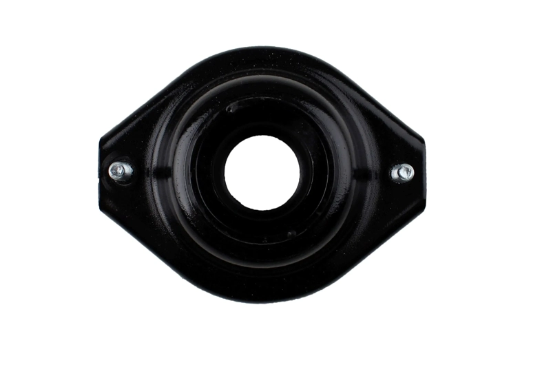 Bilstein B1 Front Top Mount Mounting