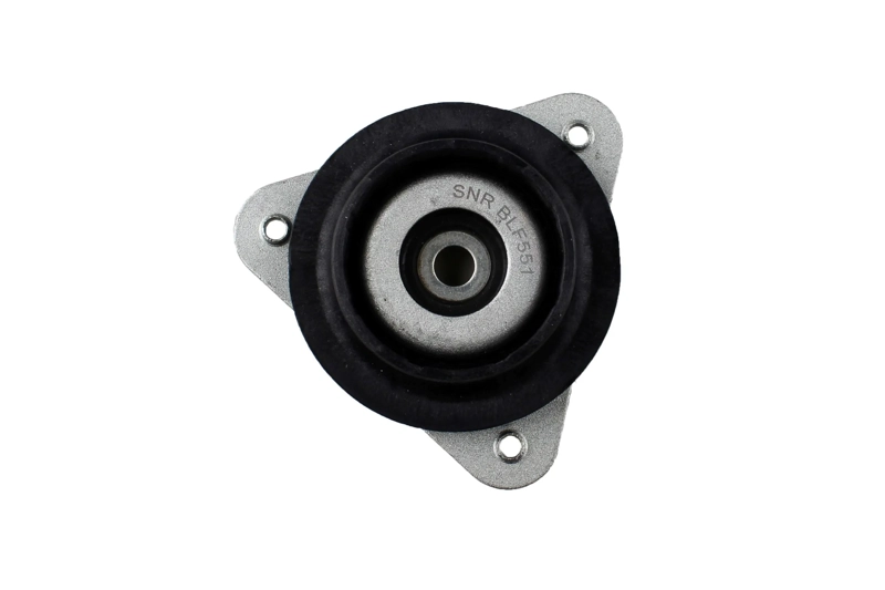 Bilstein B1 Front Top Mount Mounting