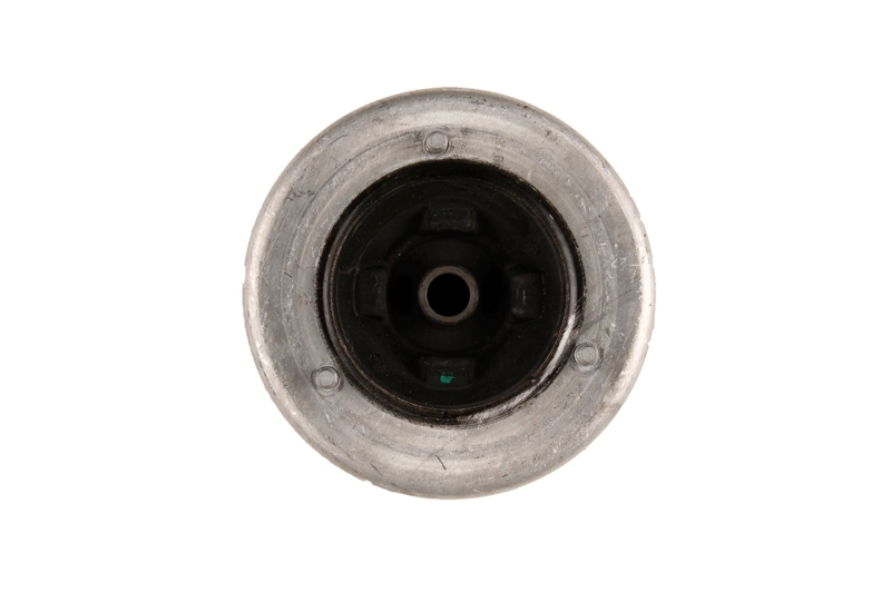 Bilstein B1 Front Top Mount Mounting