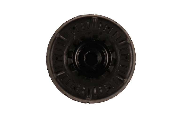 Bilstein B1 Front Top Mount Mounting